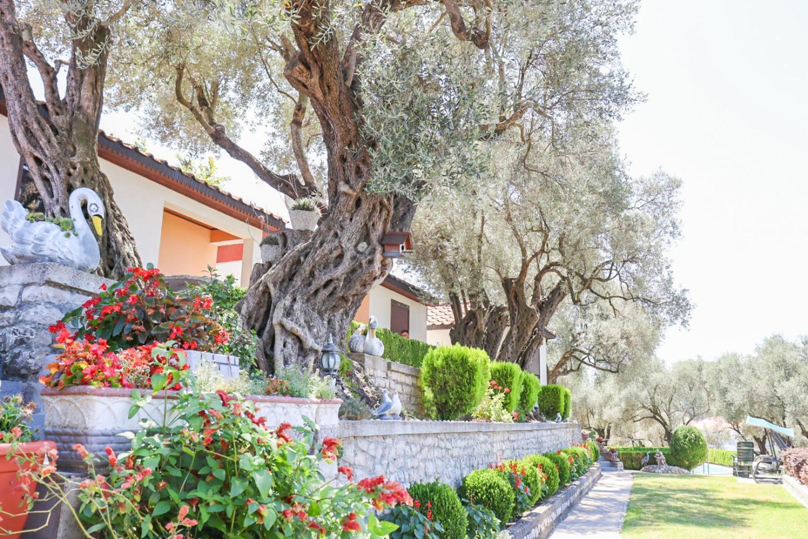 Hilja'S Oliven Garden Bungalows Ulcinj Zewnętrze zdjęcie