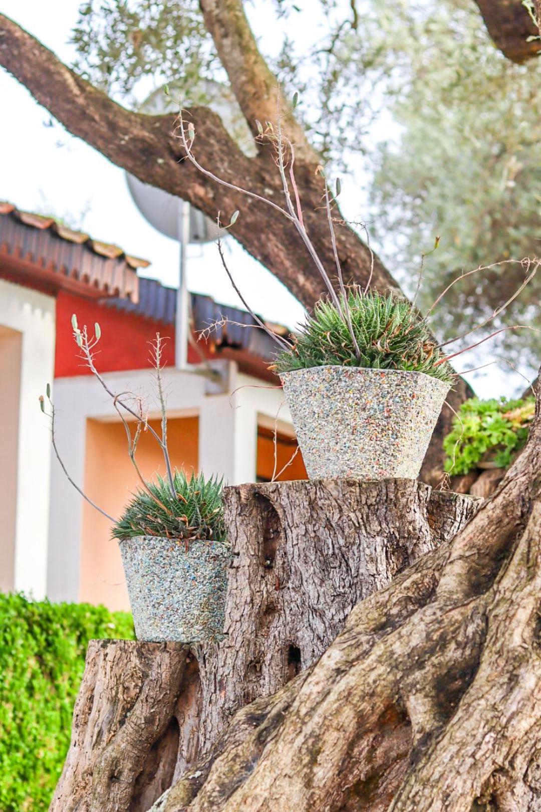 Hilja'S Oliven Garden Bungalows Ulcinj Zewnętrze zdjęcie