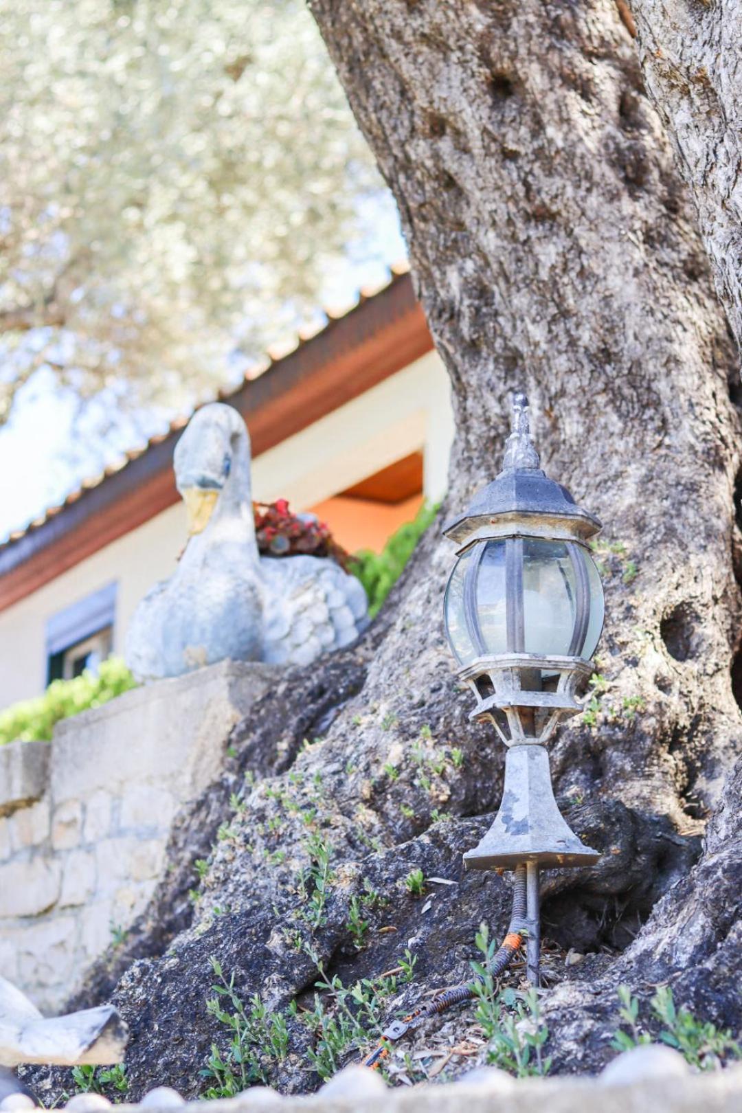 Hilja'S Oliven Garden Bungalows Ulcinj Zewnętrze zdjęcie