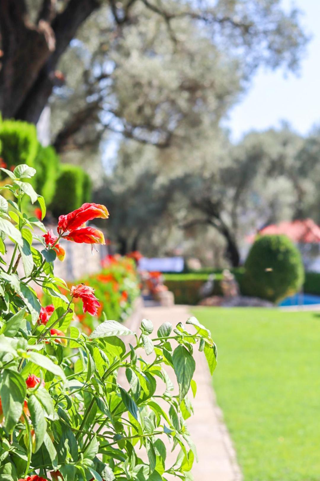 Hilja'S Oliven Garden Bungalows Ulcinj Zewnętrze zdjęcie