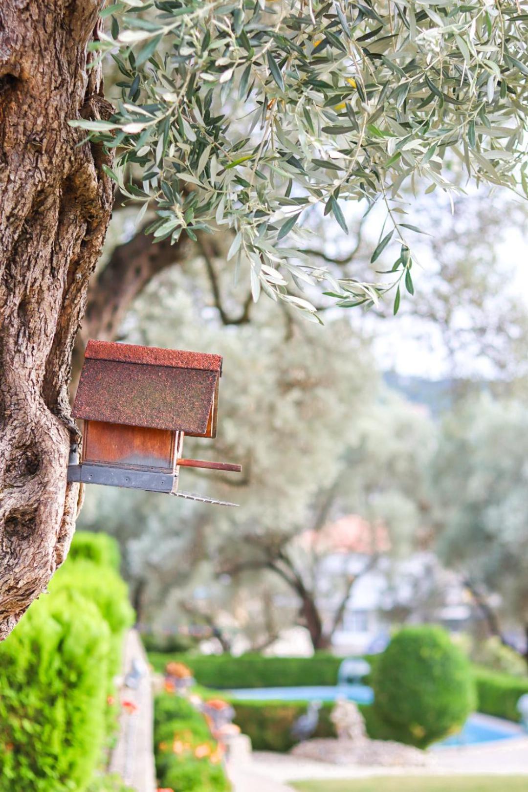 Hilja'S Oliven Garden Bungalows Ulcinj Zewnętrze zdjęcie