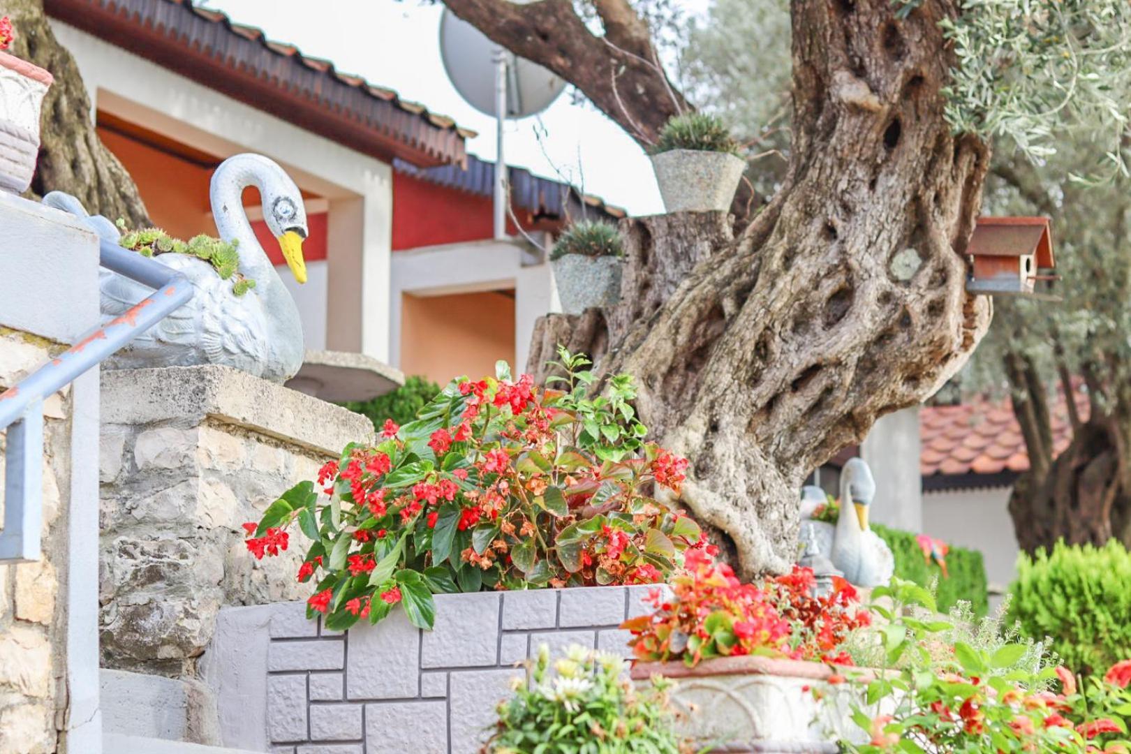 Hilja'S Oliven Garden Bungalows Ulcinj Zewnętrze zdjęcie
