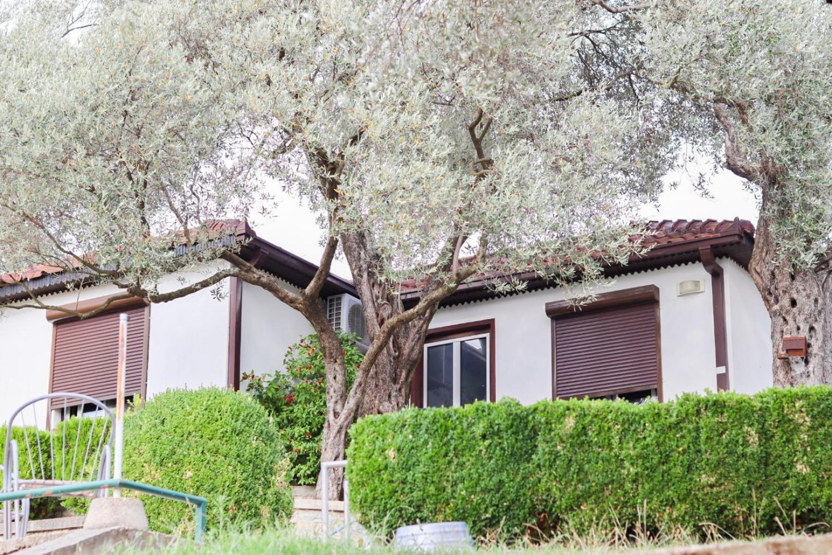 Hilja'S Oliven Garden Bungalows Ulcinj Zewnętrze zdjęcie