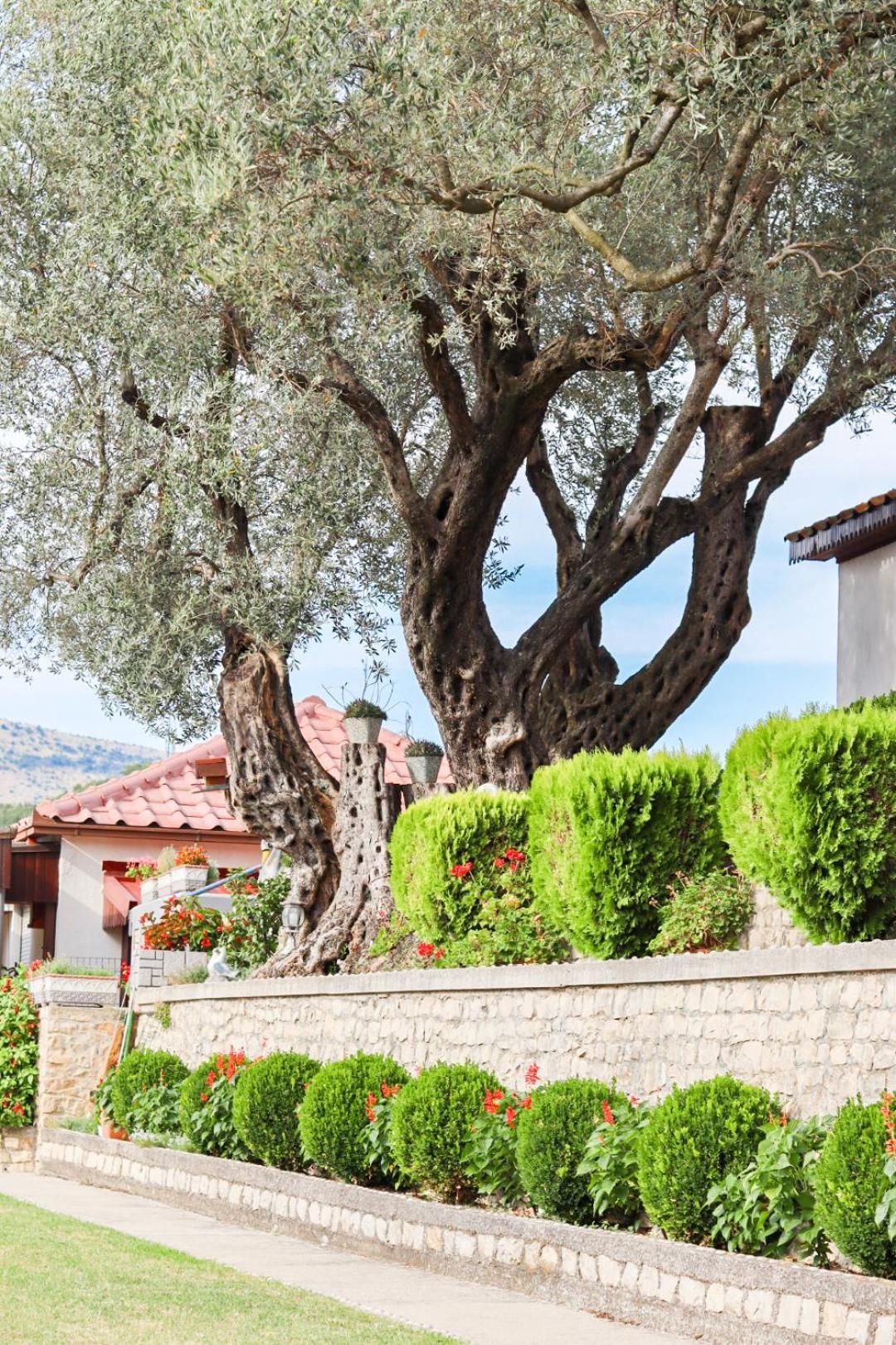Hilja'S Oliven Garden Bungalows Ulcinj Zewnętrze zdjęcie
