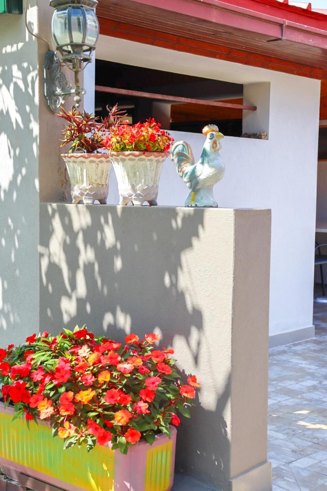 Hilja'S Oliven Garden Bungalows Ulcinj Zewnętrze zdjęcie