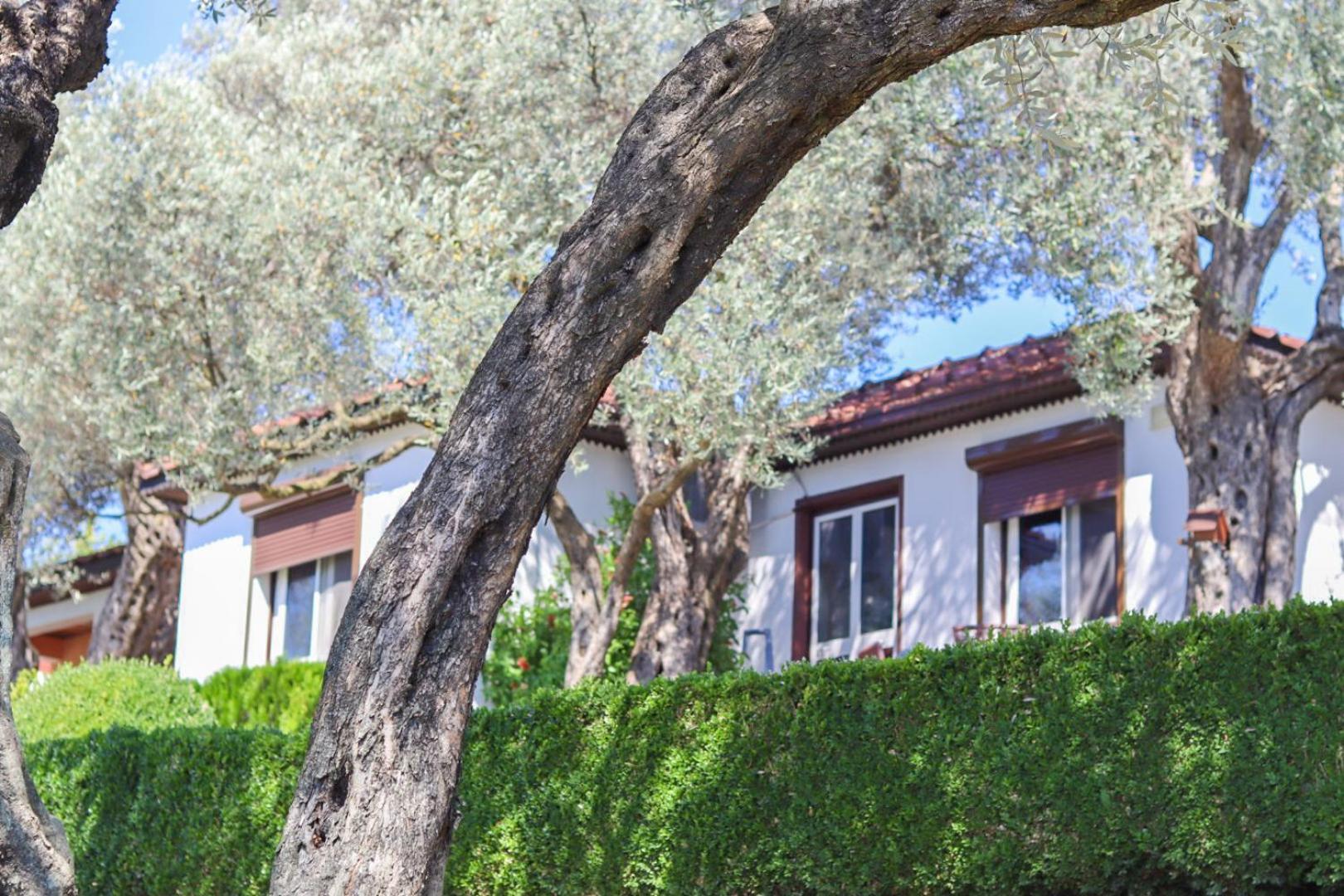Hilja'S Oliven Garden Bungalows Ulcinj Zewnętrze zdjęcie