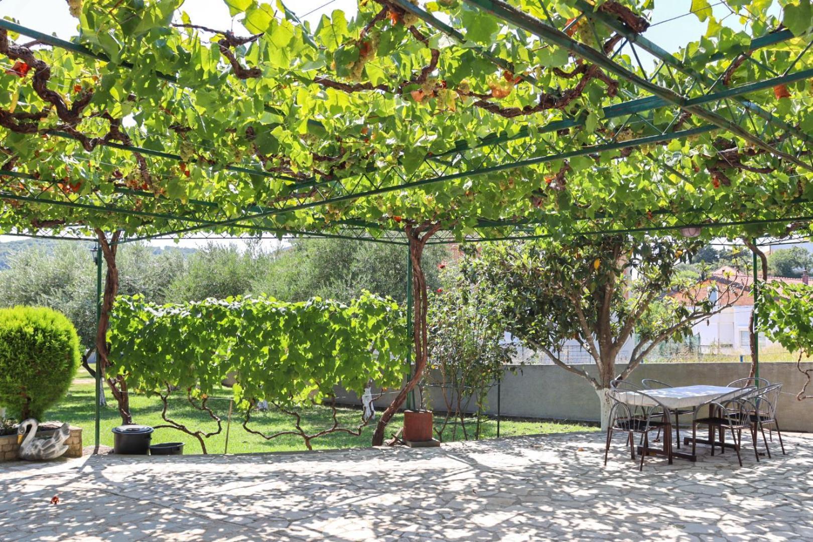 Hilja'S Oliven Garden Bungalows Ulcinj Zewnętrze zdjęcie