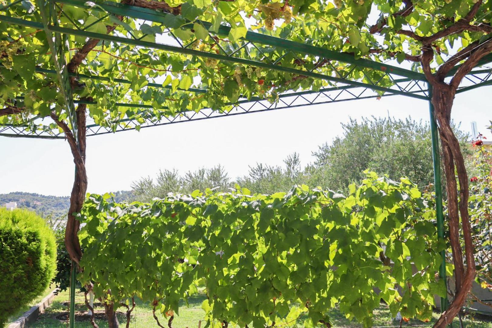 Hilja'S Oliven Garden Bungalows Ulcinj Zewnętrze zdjęcie