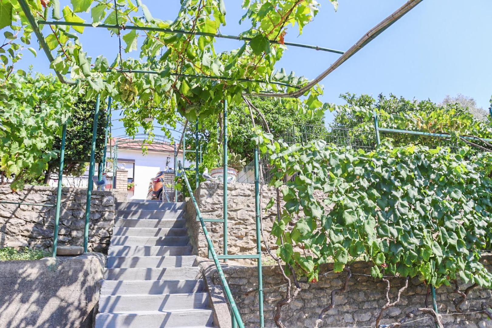 Hilja'S Oliven Garden Bungalows Ulcinj Zewnętrze zdjęcie