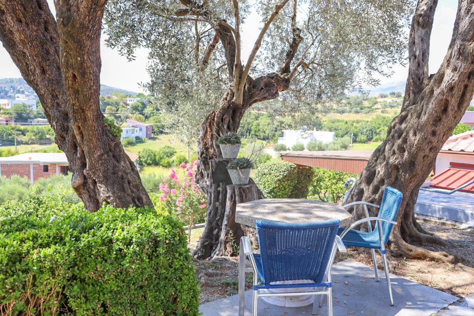 Hilja'S Oliven Garden Bungalows Ulcinj Zewnętrze zdjęcie