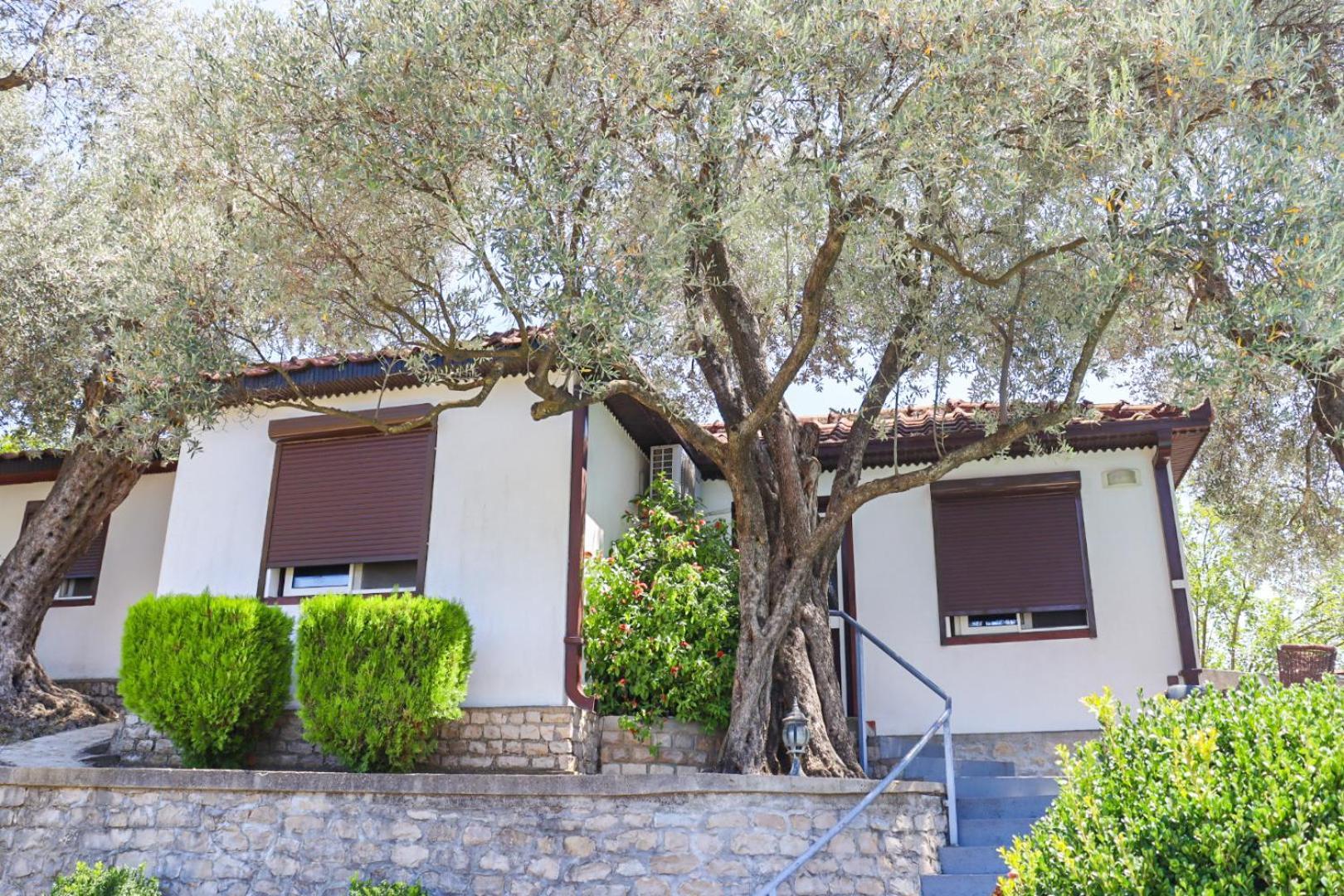 Hilja'S Oliven Garden Bungalows Ulcinj Zewnętrze zdjęcie